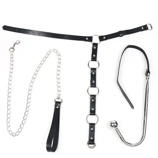Anal Hooks and Leash with EverydayUse 5853 Hook Anal Kinky Collar 0902